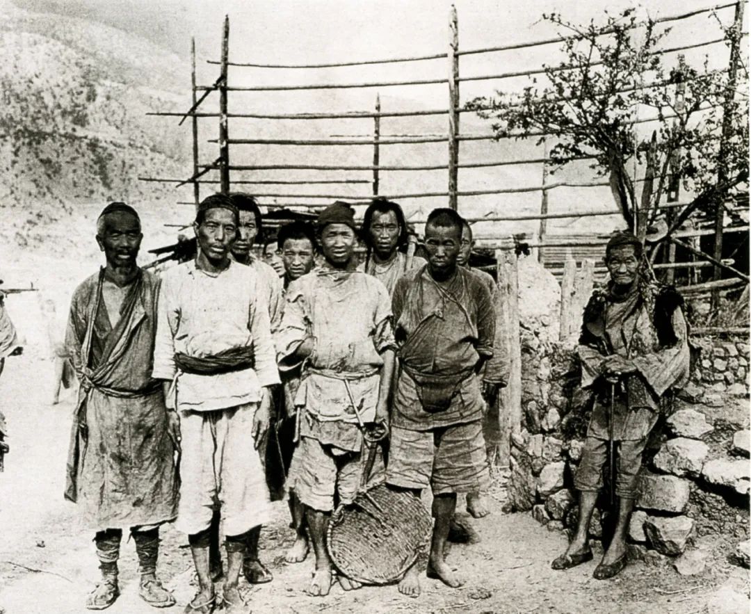 1959解放农奴图片