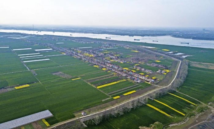 荆江大堤&nbsp; 摄影:李风