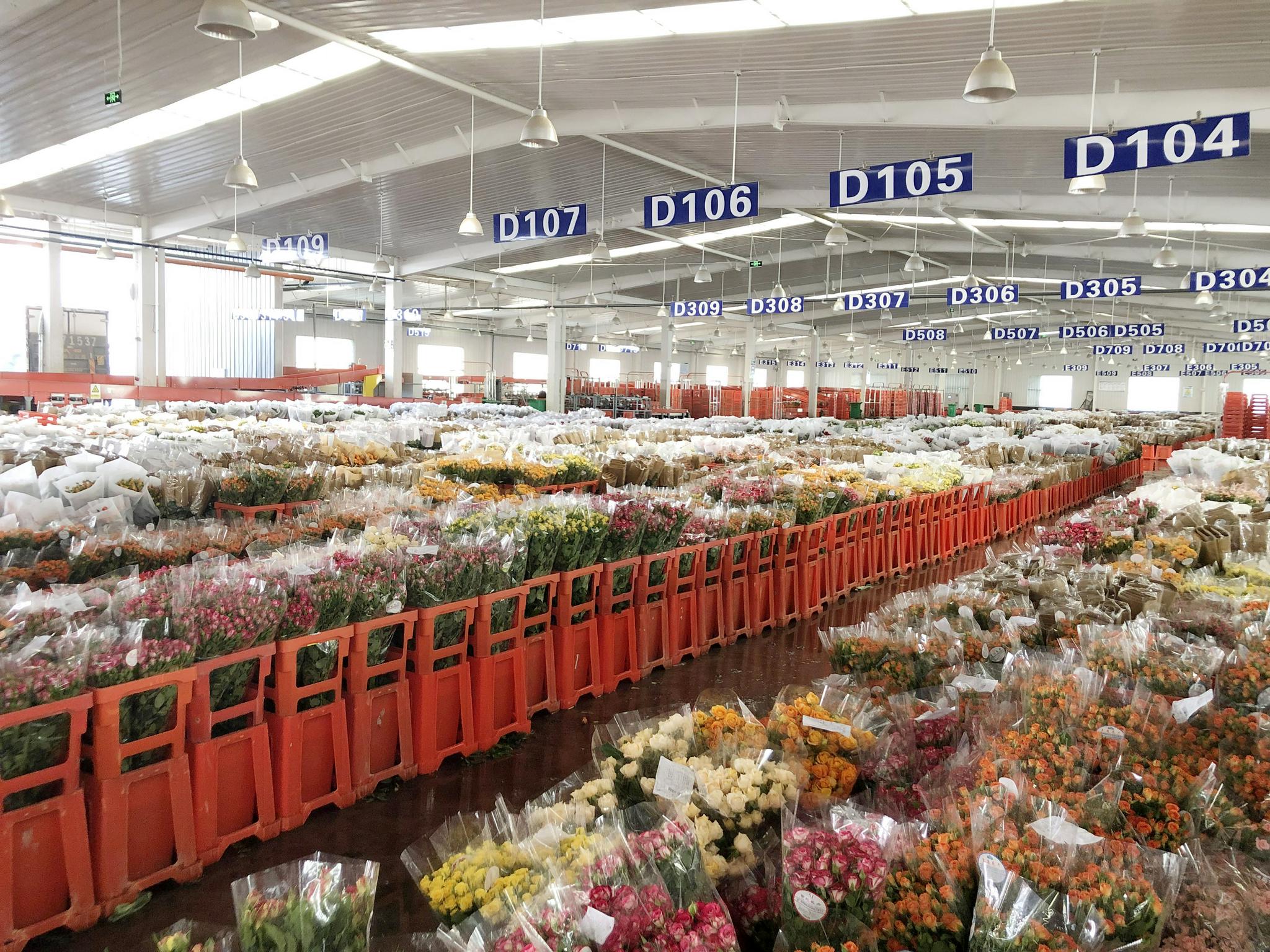 盒马升级鲜花业务将与昆明花拍中心成立鲜花供应链公司