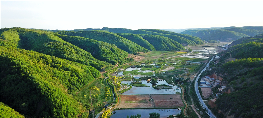 解放战争时期的土地改革运动 手机新浪网