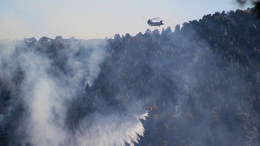 土耳其8天发生174起森林大火