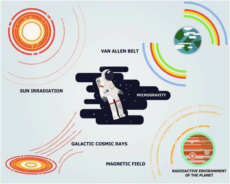 太空辐射的主要来源。图片来源：PMC