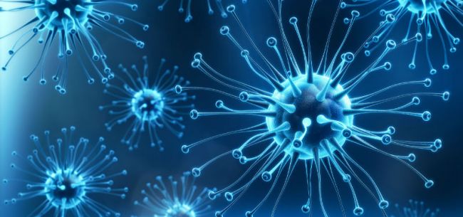 深圳康泰生物成功分离出德尔塔变异毒株股价大涨14 16 德尔塔 新浪财经 新浪网