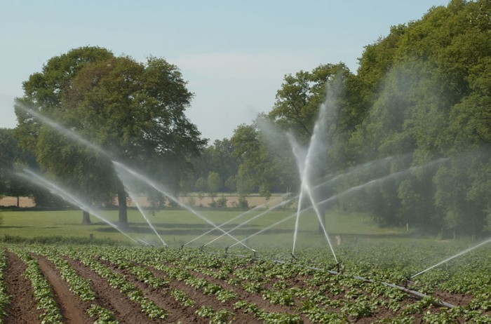 喷灌、滴灌、水平、涌流……哪种灌溉方式最节水？