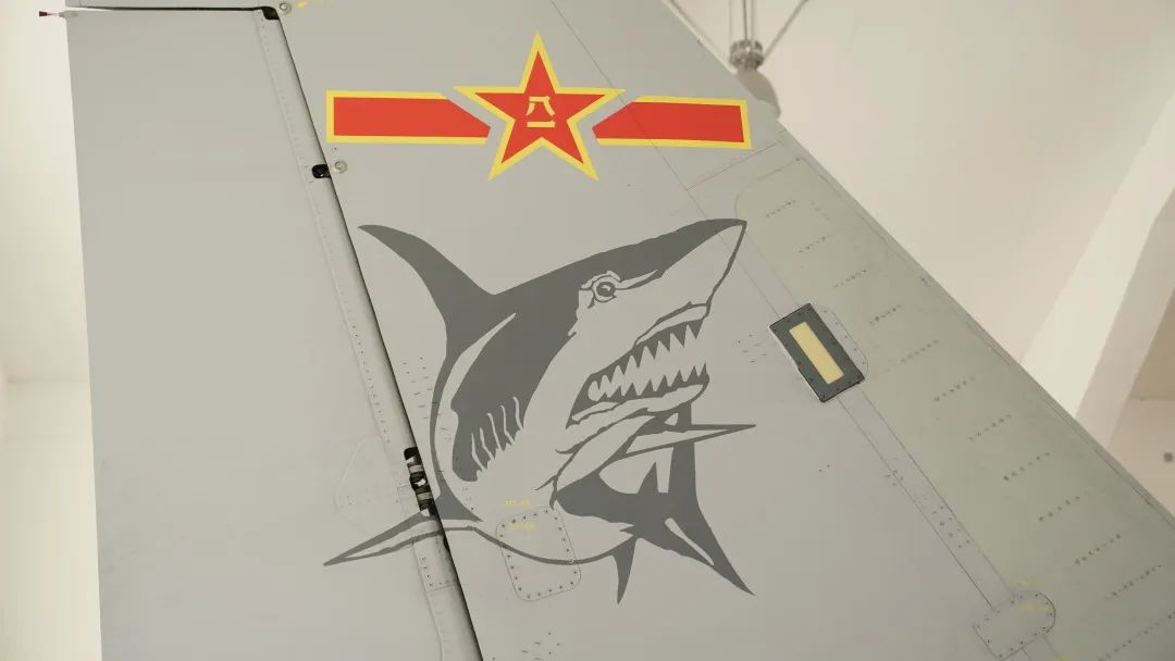 航母舰载机舰歼-15尾翼上的"飞鲨"在飞行员的世界里,万众瞩目是万分