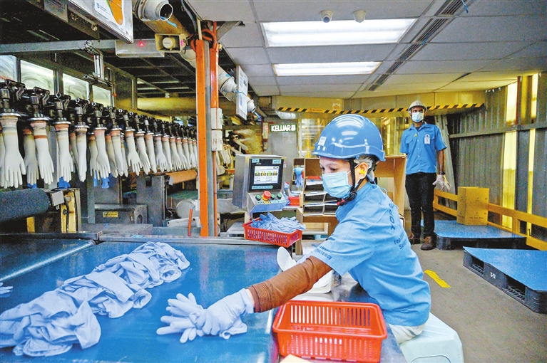 图为世界最大的手套生产商之一马来西亚top glove公司生产车间.