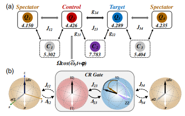 图1：(a)实验系统示意图（4个计算量子比特（Q1-Q4）与3个可调耦合器比特（C1-C3）），其中门比特Q2和Q3用来实现CR门，Q1和Q4为环境量子比特。(b) 环境比特对CR门操作影响示意图。