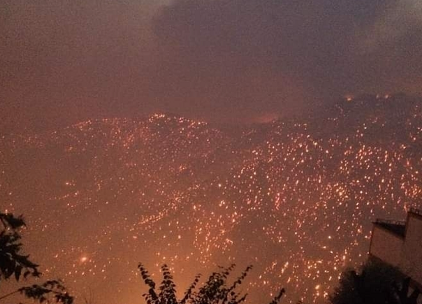 阿尔及利亚多地发生森林火灾 已致至少4人死亡