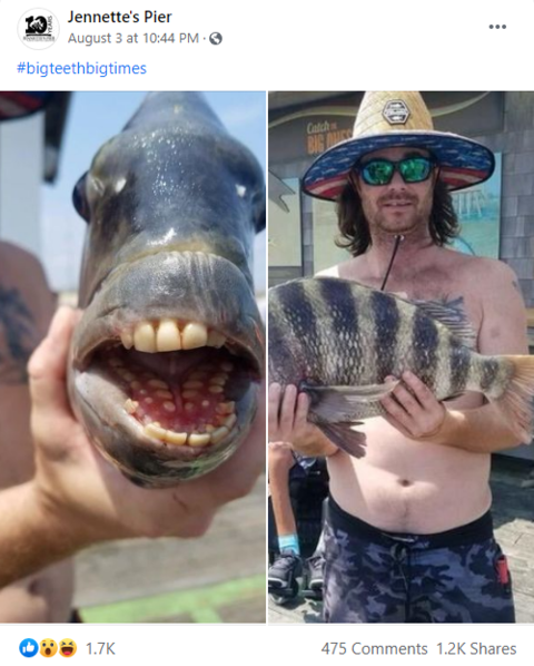 图源FB Page@jennettespierobx