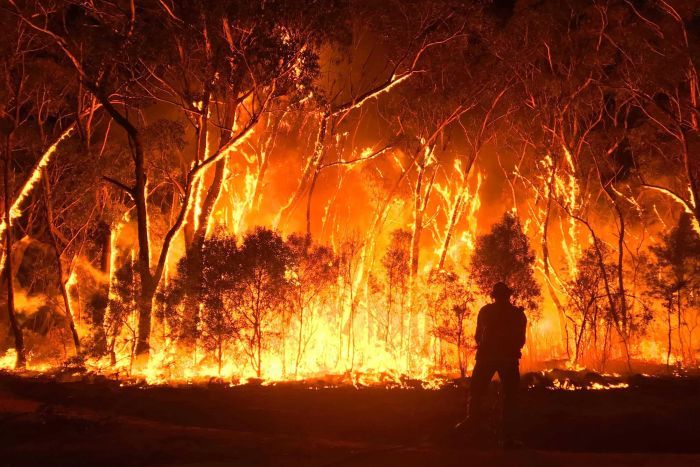 去年肆虐澳大利亚的山火（图自ABC）