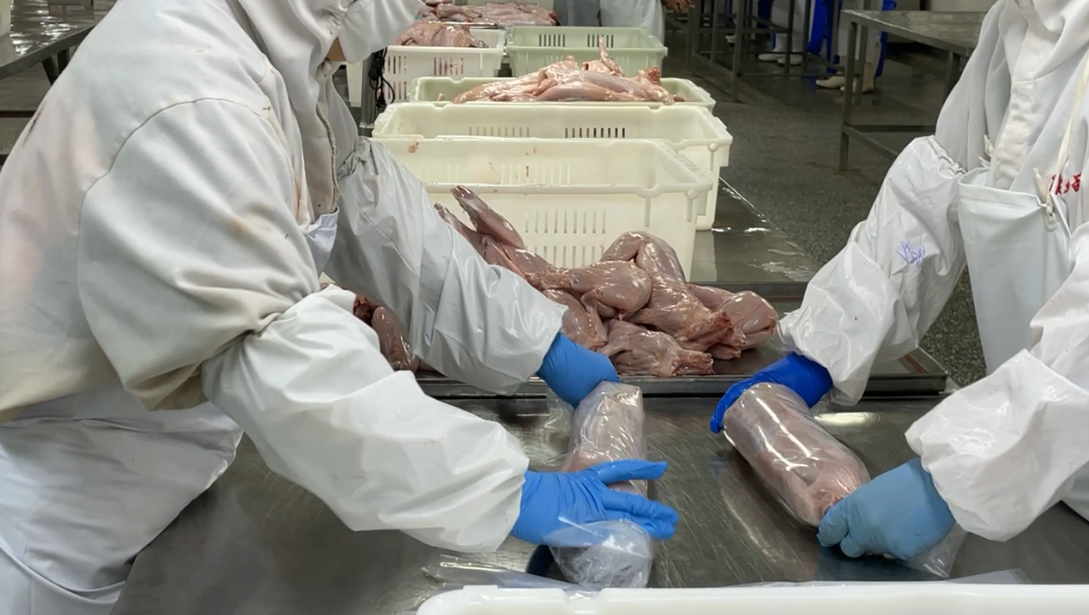 在肉兔产品的研发环节,每一步骤都非常严谨,做到一丝不苟.