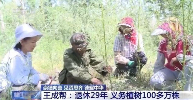 全国道德模范候选人丨王成帮：退休29年 义务植树100多万株