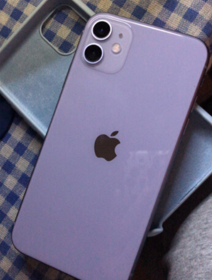 苹果11紫色实物图图片