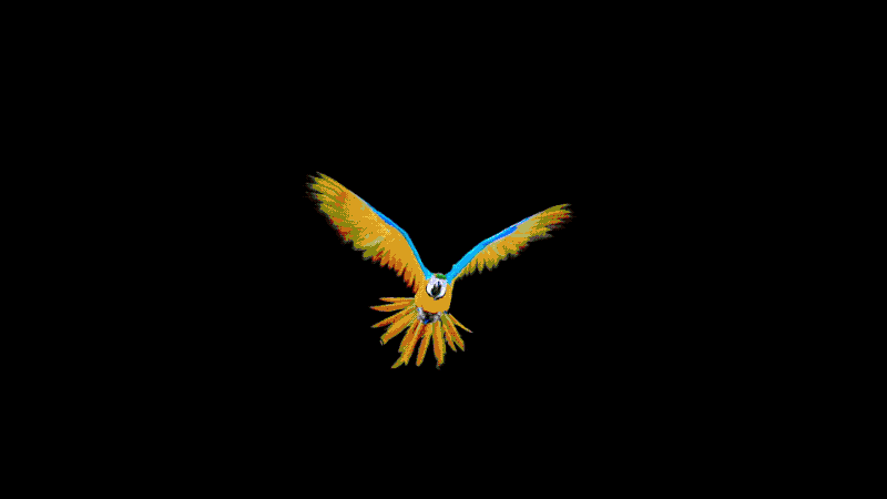 ▲ 全黑的环境下测试色彩视频，小米电视6 OLED的黑色沉浸感极强