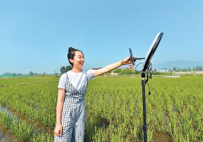 图为程玉娇正在水稻田里进行电商直播.