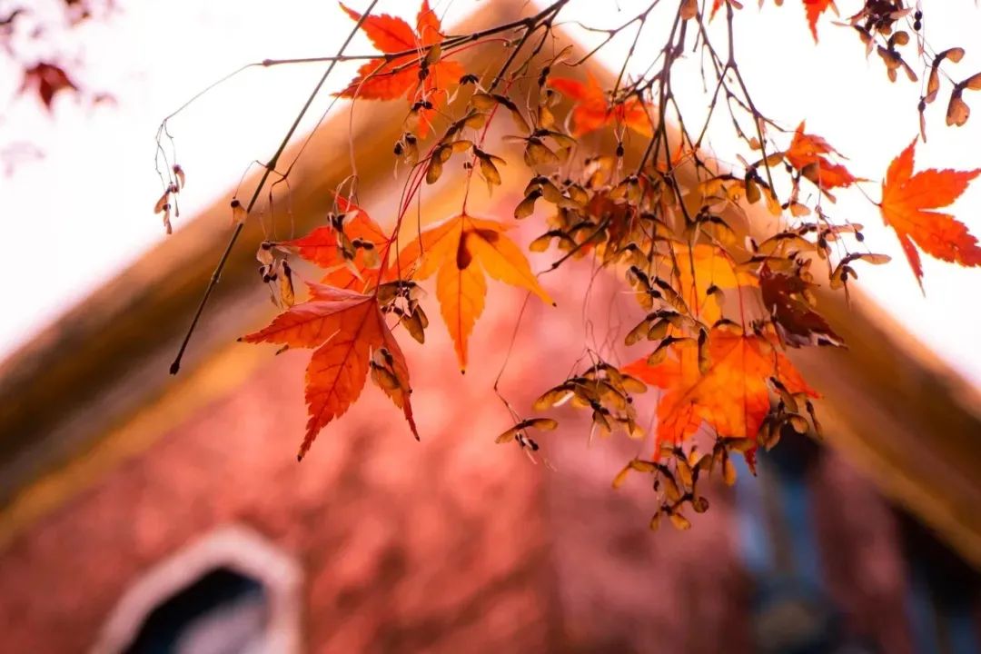 视觉盛宴美食美景双倍惊喜