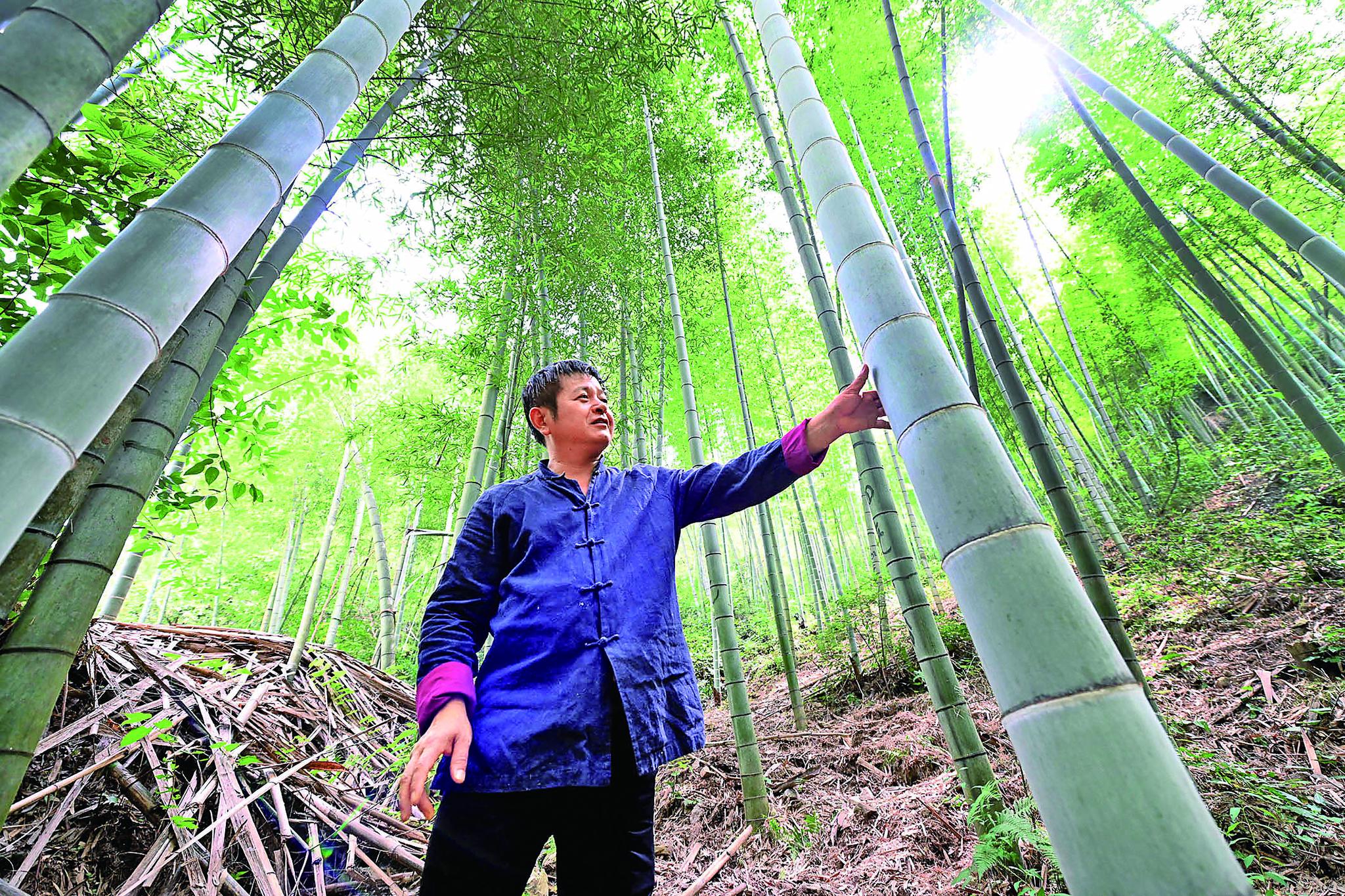富阳竹纸:留下别样乡愁|大同市_新浪财经_新浪网
