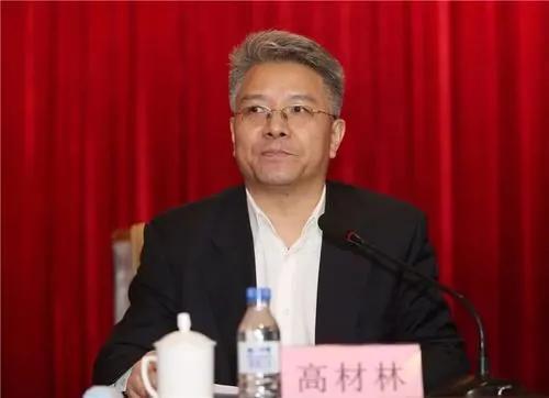 中共中央批准高材林王创民被开除党籍