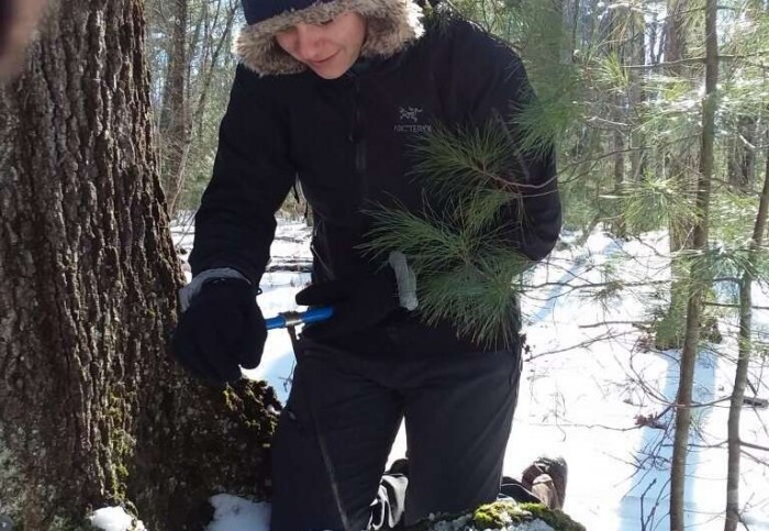 碳水化合物热量排行_研究称树木的碳水化合物储备对于其在毒蛾毛虫袭击中生存是至关重要的