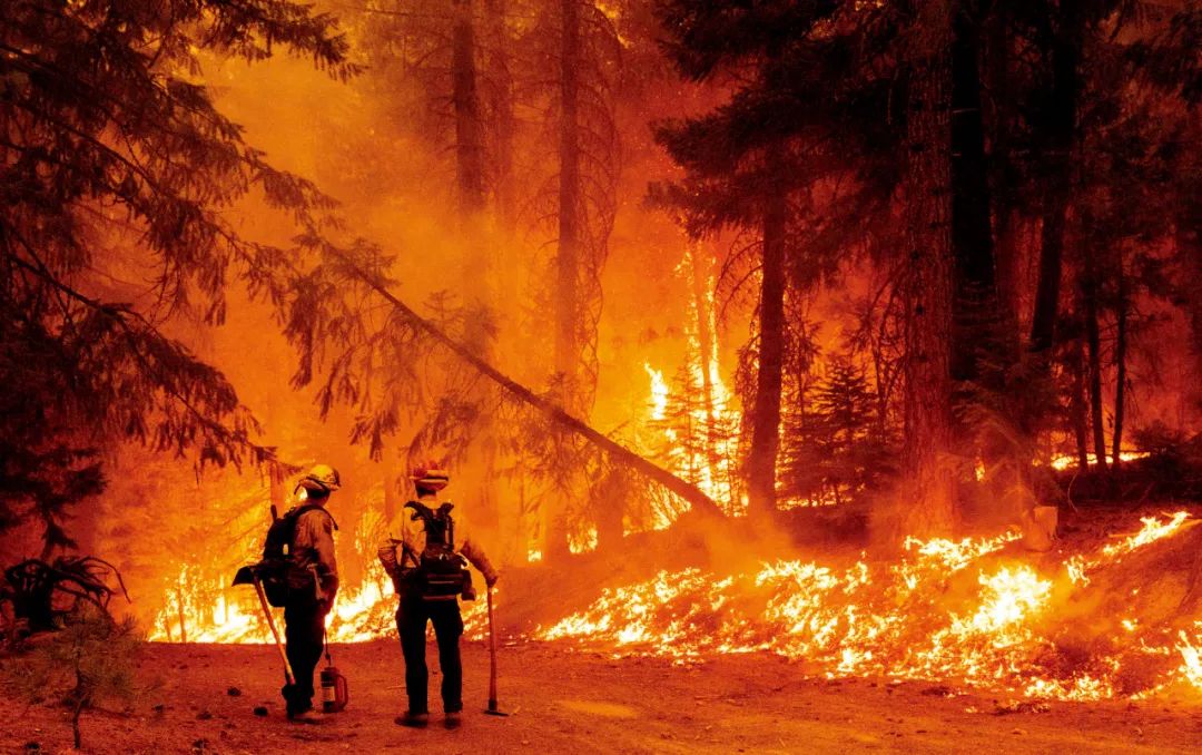 7月23日，美国加州，消防员观察“迪克西”山火的火情。图/法新