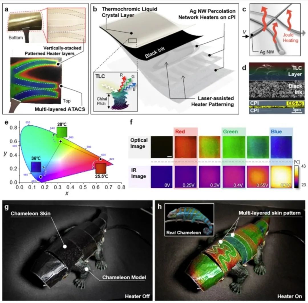 变色龙机器人变色原理示意图