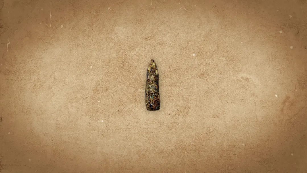 1939年9月江抗的政治部主任刘飞在江阴顾山的战斗中负伤,这子弹就打在