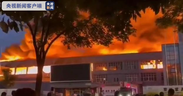 浙江平湖一厂区发生大火 现场浓烟滚滚