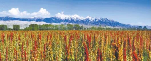 ���������ո��޼������ ��