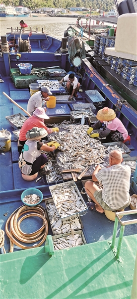 期三个半月的南海伏季休渔期结束,江门市2000多艘渔船分别从新会,台山