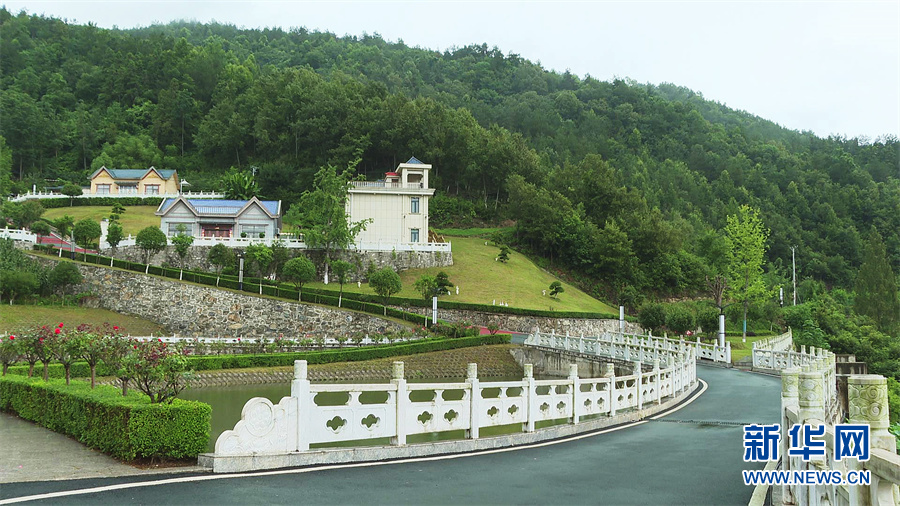 走进乡村看小康|大山深处官坊村，有诗有远方