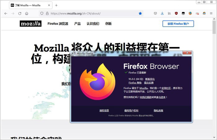 ▲ 现在 Firefox 的版本号已经刷到了 90+，界面更加现代化