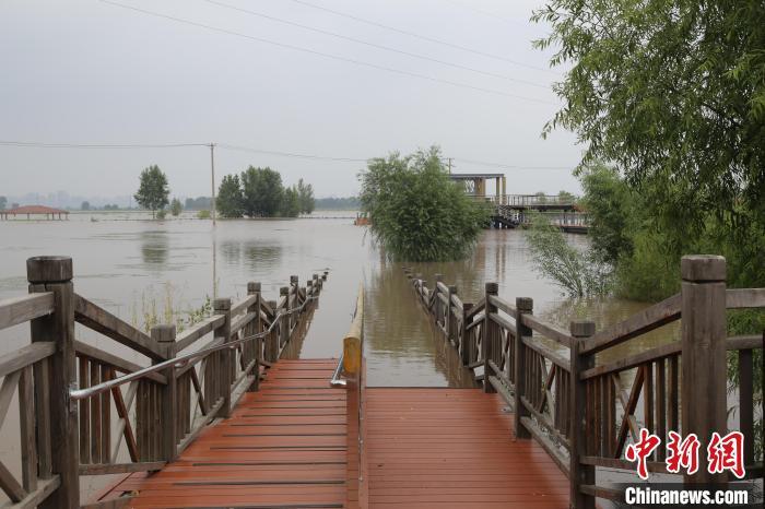 资料图：近期，松花江干流水位上涨。8月17日哈尔滨群力外滩湿地公园部分区域被水淹没。李文学 摄
