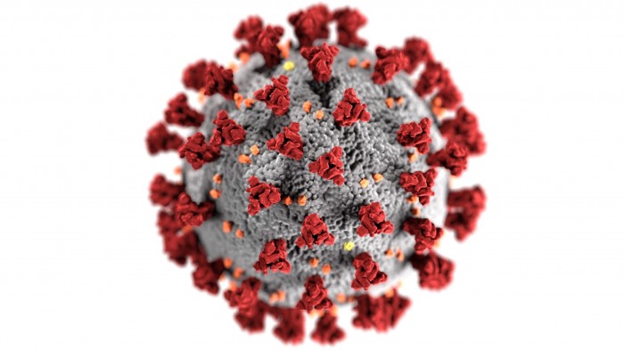 冠状病毒SARS-CoV-2的插图，它导致了COVID-19疾病。注意装饰在病毒外表面的尖刺，这使病毒看起来像一个围绕着病毒体的日冕。资料来源：美国疾病控制和预防中心