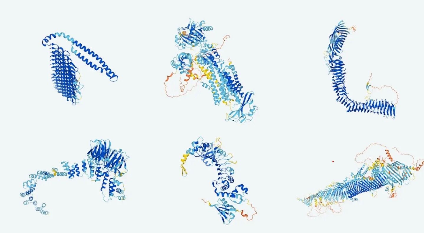 AlphaFold2预测出的蛋白质三维结构