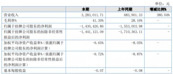 大美股份财报数据