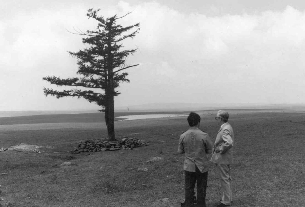 专家在考察荒芜的塞罕坝时发现这棵年逾200岁的“功勋树”，成为“塞罕坝能种树”的标志（资料照片）。