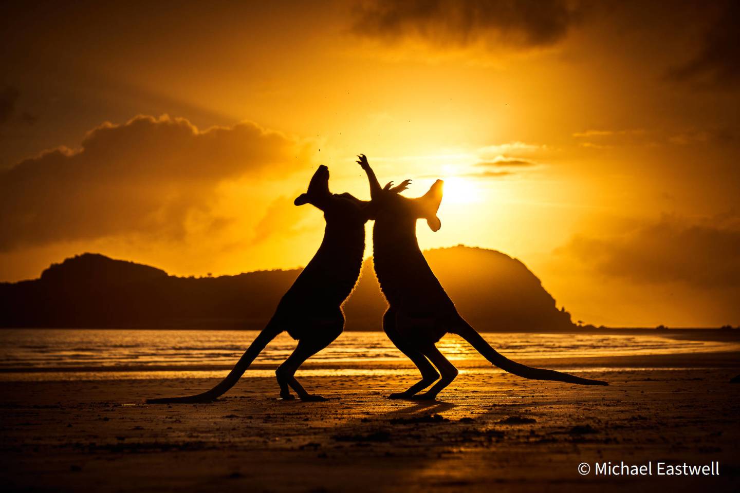 澳大利亚地理自然年度摄影师奖作品赏析
