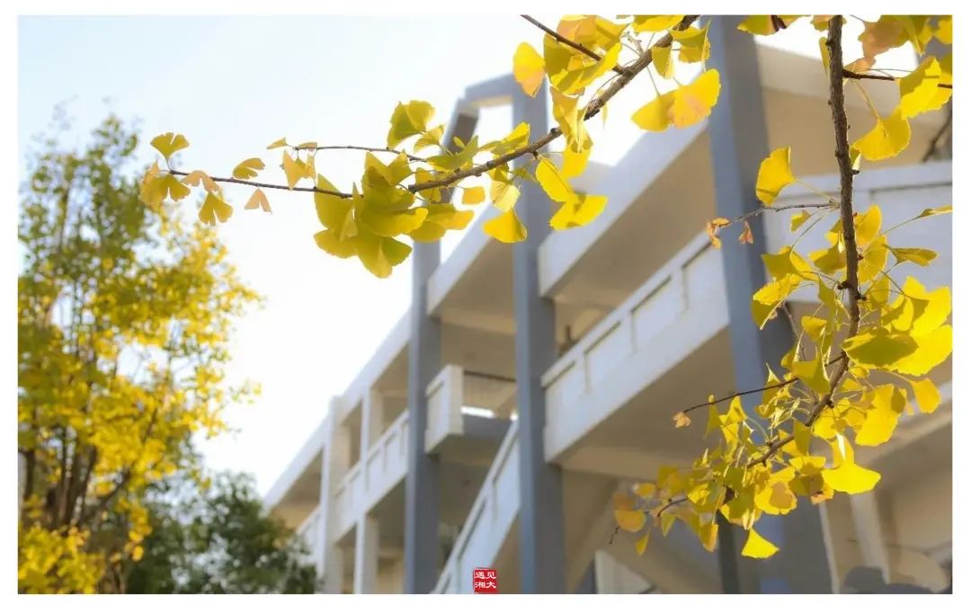 与温暖而这些故事仍在继续我们将共同书写【湘潭大学新媒体中心】图片