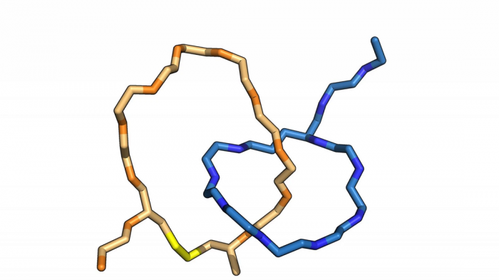 研究人员利用肽制成出世界上最小的生物力学连接结构