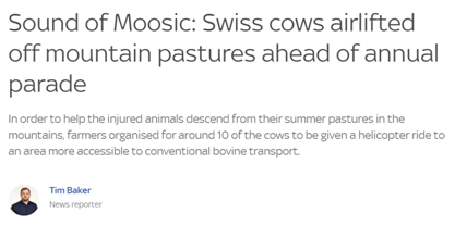 瑞士“萌化”一幕：直升机吊着奶牛飞行……