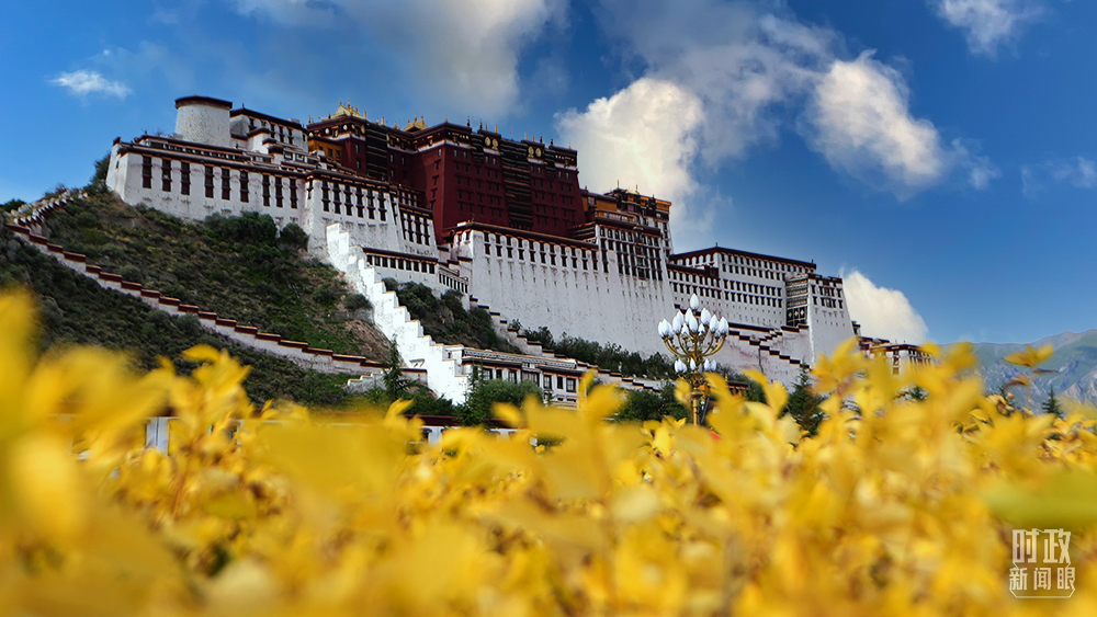 △西藏拉萨，布达拉宫。（总台央视记者魏子钧拍摄）