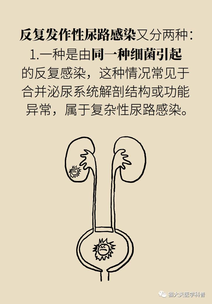 老人反复尿路感染,能长期吃抗菌药吗?
