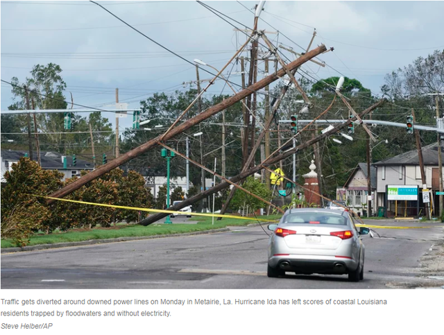 飓风“艾达”吹倒大量电线杆（图源：美联社）