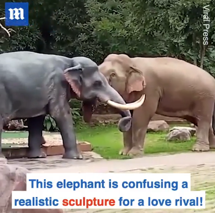 愤怒的雄象误把巨大的大象雕塑当成“情敌” 而将其撞倒在地
