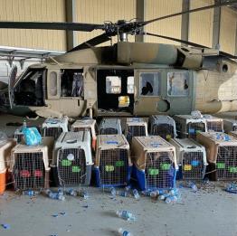△遗留在喀布尔机场的美军直升机