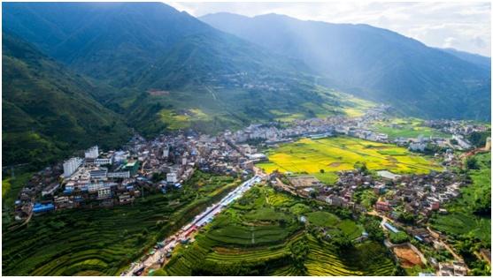 沪滇协作为双柏县鄂嘉镇谋划生态养殖全产业发展