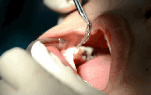 图源网络，侵删