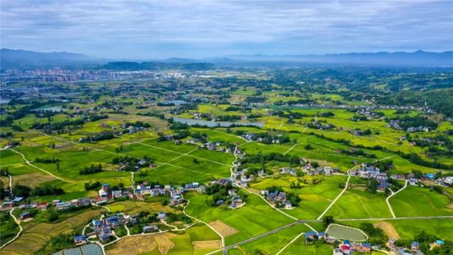 梁平区星桥镇两路村,高标准农田呈现出丰收盛景,广袤田野间千重稻浪