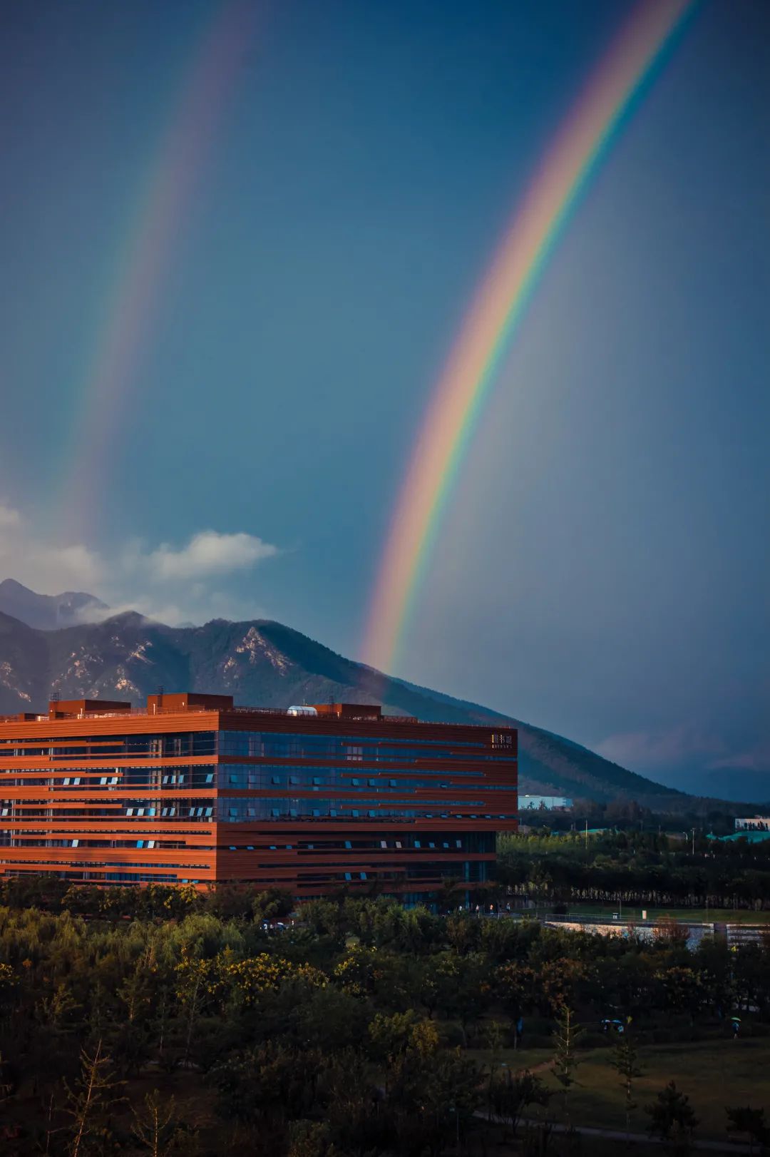 美北化的颜值巅峰是