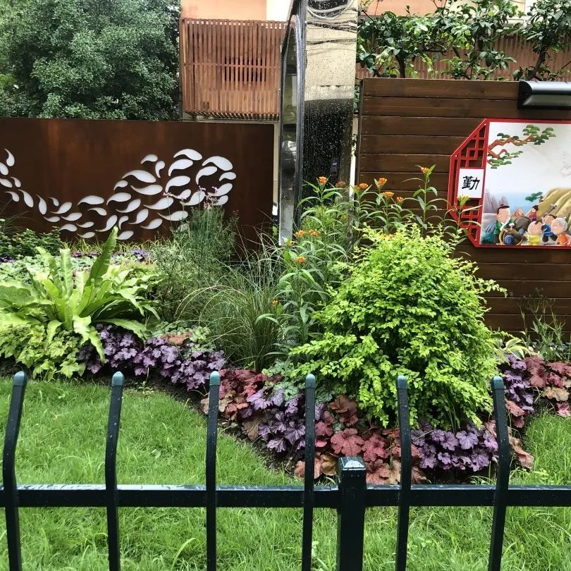 家庭养花怎么养 小区花坛怎么养护 社区园艺师来答疑解惑啦 自治 新浪财经 新浪网